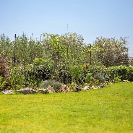 Villa Helios Kalathos Dış mekan fotoğraf